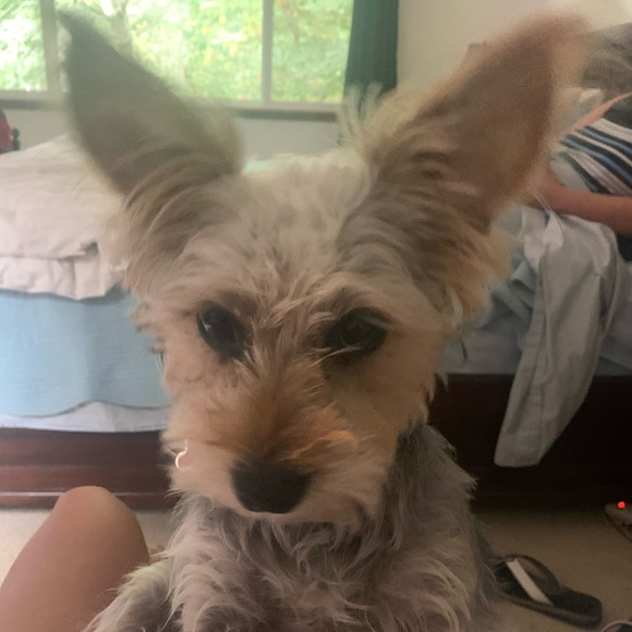 Meet your buyer/seller: - Picture 8 of 9